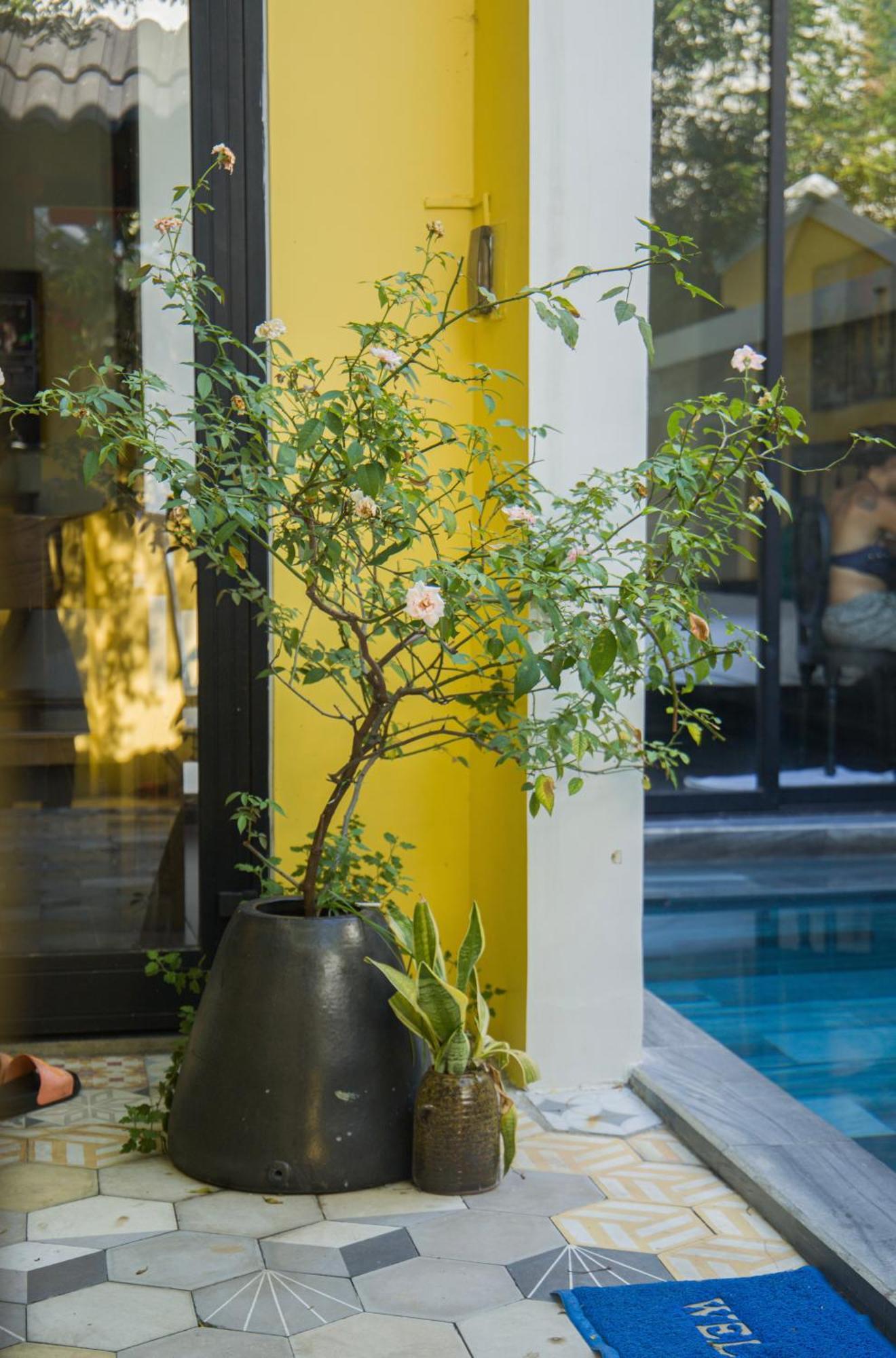 Rosie Villa Hoi An Exteriér fotografie
