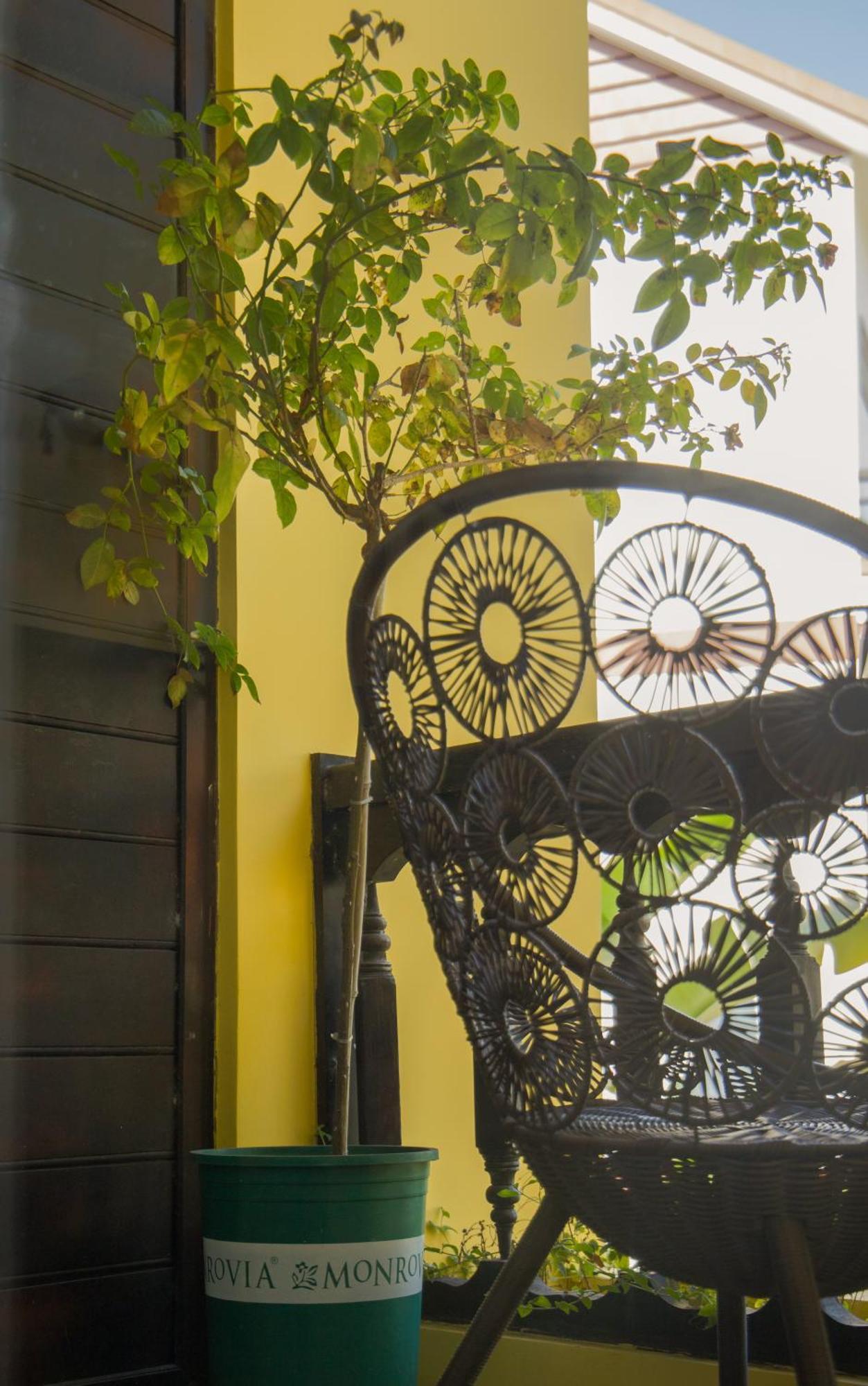 Hoi An 2Br Private Pool Villa - Walk To Old Town Exteriér fotografie